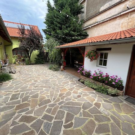 Penzion Primášé Dolni Vestonice Extérieur photo
