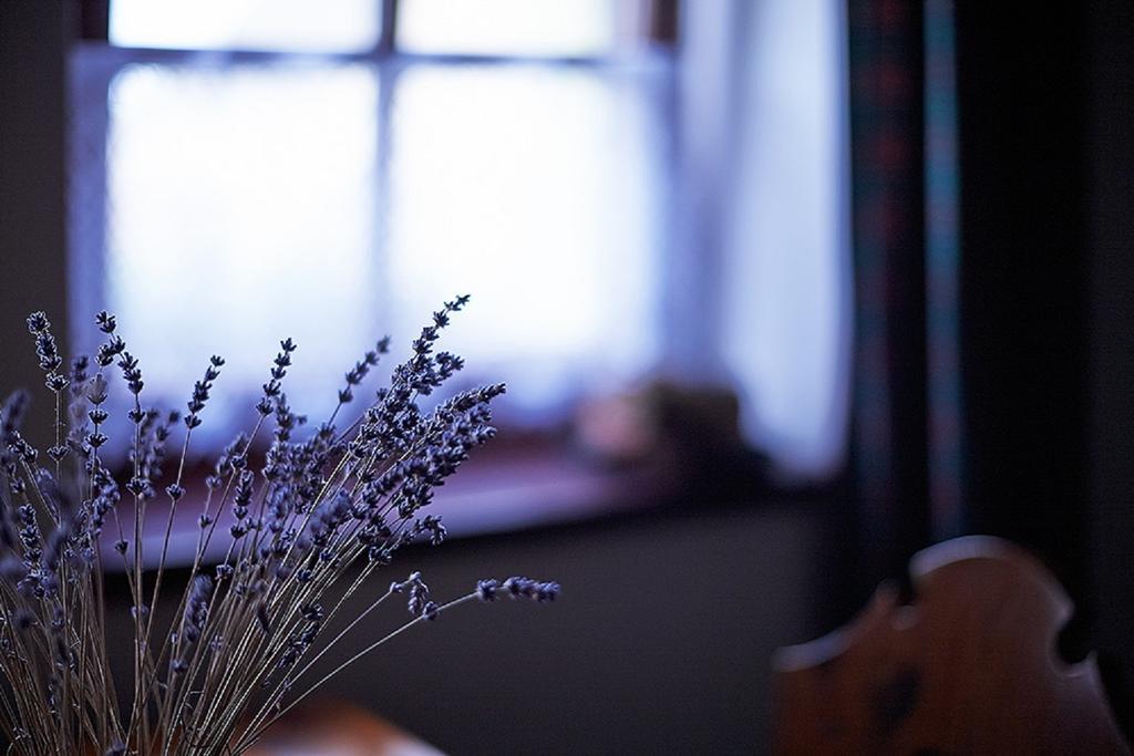 Penzion Primášé Dolni Vestonice Chambre photo