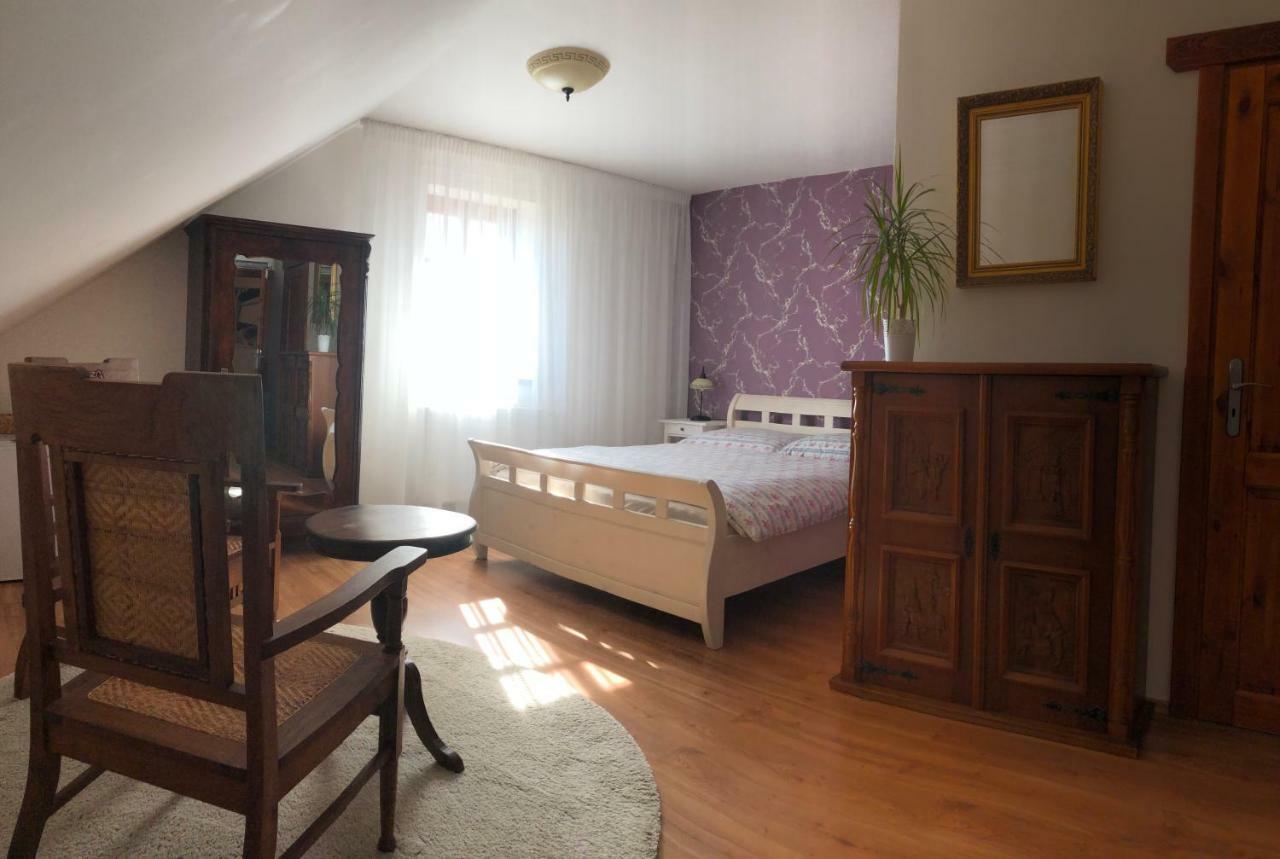 Penzion Primášé Dolni Vestonice Extérieur photo
